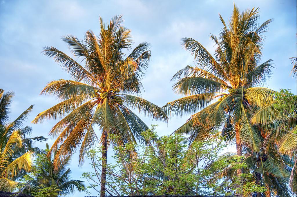 Willa Les Jardins De Gili Gili Trawangan Zewnętrze zdjęcie